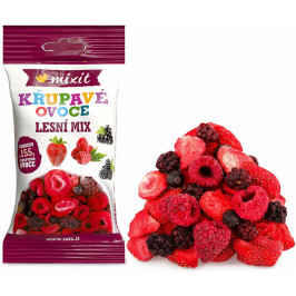 MIXIT Chrumkavé ovocie do vačku Lesný mix 20g